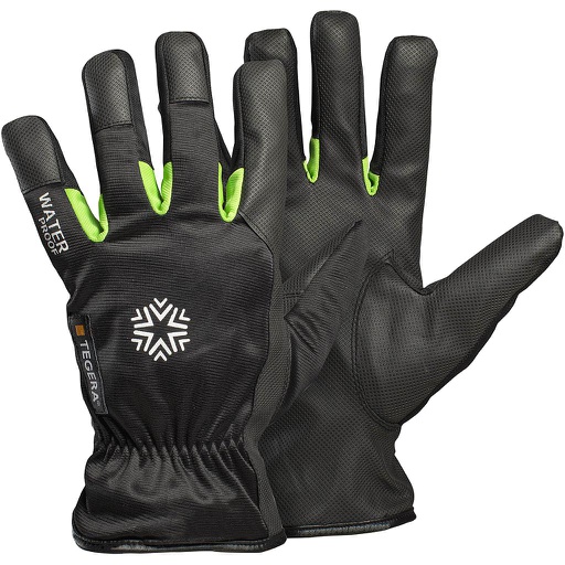 Winterhandschoen Tegera 518